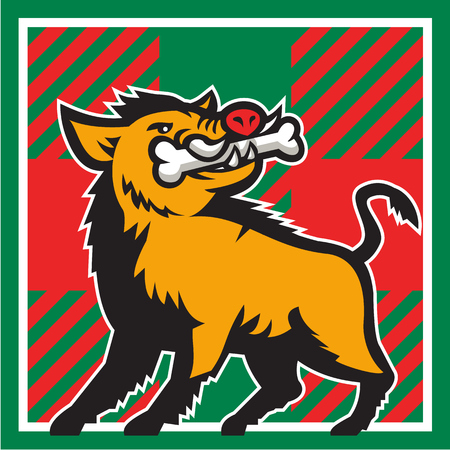 Illustration of a wild pig boar razorback head looking up to the side with bone in mouth viewed from front set inside square shape with tartan in the background done in retro style.のイラスト素材
