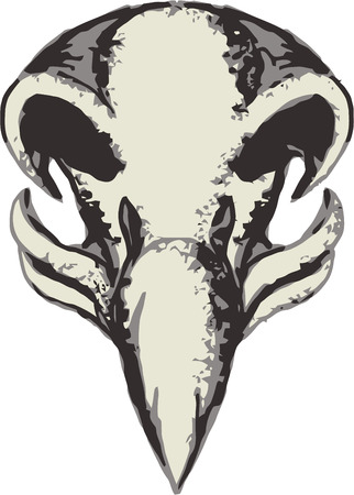 Illustration of a skull of an eagle facing front set on isolated white background done in retro style.のイラスト素材