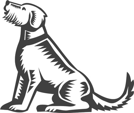 Illustration of a welsh terrier dog sitting looking up viewed from side set on isolated white background done in retro woodcut style,のイラスト素材