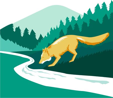 Illustration of a fox drinking from river creek set inside square shape with woods trees forest in the background done in retro style.のイラスト素材
