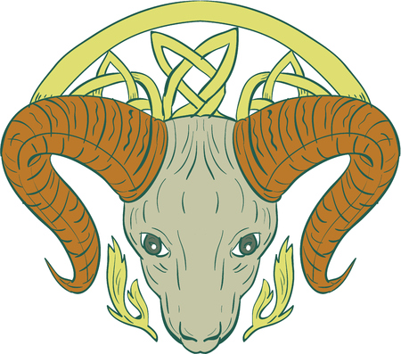 Illustration of stylized ram bighorn mountain goat head with Celtic knot, called Icovellavna, plait work or knotwork woven into unbroken cord design viewed from front set on isolated white background.のイラスト素材