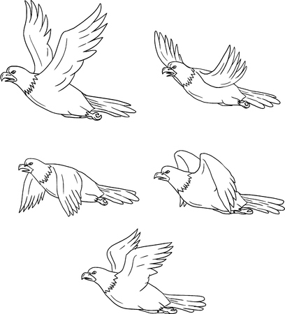 Collection set of illustrations of an eagle flying with wings flapping viewed in different movements done in cartoon style.のイラスト素材