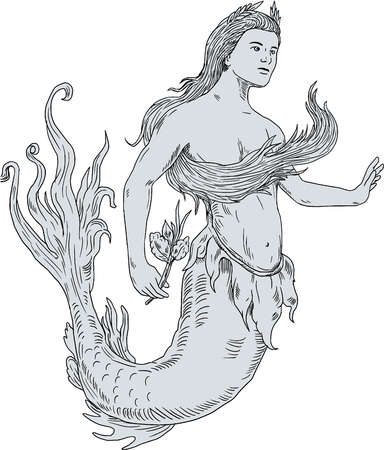 Drawing sketch style illustration of a vintage mermaid holding flower looking to the side set on isolated white background.のイラスト素材