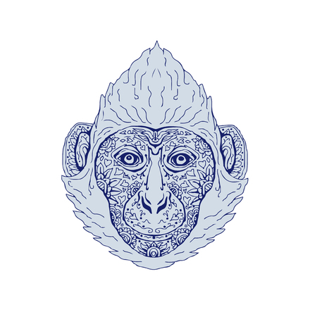 Illustration of a Cat Ba langur Head viewed front done in hand sketch drawing Mandala style.のイラスト素材