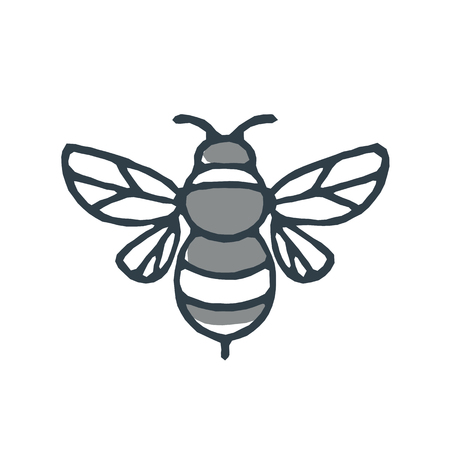 Mono line icon style illustration of a bumblebee or bumble bee, a member of the genus Bombus, part of Apidae on isolated white background.のイラスト素材