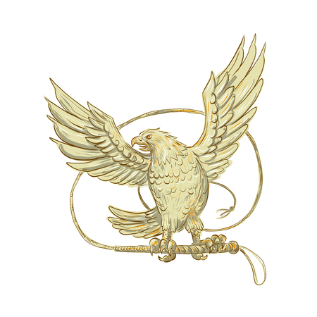Drawing sketch style illustration of an Eagle Clutching single-tailed Bullwhip whip viewed from front on isolated background.のイラスト素材