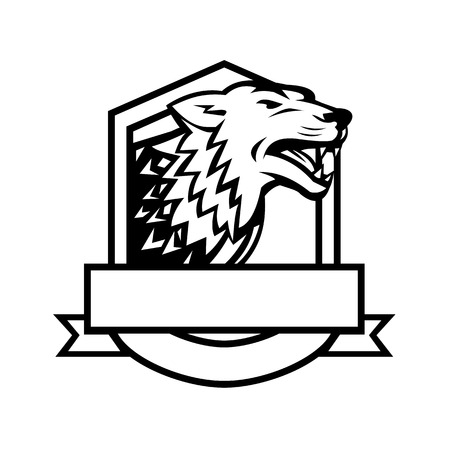 Retro style illustration of an angry wolf growling set inside crest shield with banner done in black and white on isolated background.のイラスト素材