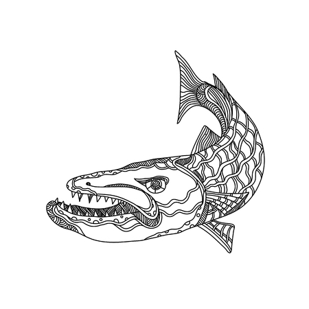 Doodle art illustration of barracuda, a saltwater ray-finned fish of the genus Sphyraena known for its large size, fearsome appearance and ferocious behaviour done in black and white mandala style.のイラスト素材