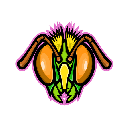 Mascot icon illustration of head of a honey bee, bumble bee or honeybee, a member of the genus Apis viewed from front on isolated background in retro style.のイラスト素材