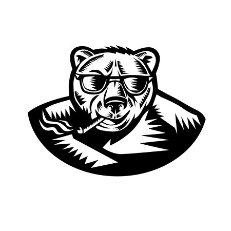 Retro woodcut style illustration of a grizzly bear smoking a cigar viewed from front on isolated background in black and white.のイラスト素材