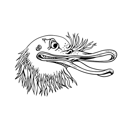 Cartoon and graffitti style illustration of an angry and aggressive kiwi head, a flightless bird native to New Zealand, looking to side on isolated background in black and white.のイラスト素材