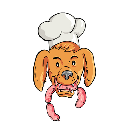 Cartoon style illustration of an Irish Setter dog wearing chef, baker or cook hat biting a sausage string viewed from front on isolated background.のイラスト素材
