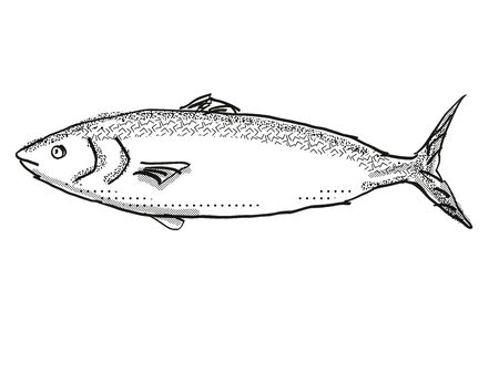 Retro cartoon style drawing of a kahawai , a native New Zealand marine life species viewed from side on isolated white background done in black and whiteの写真素材
