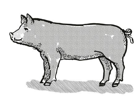 Retro cartoon style drawing of a Berkshire sow or boar, a pig breed viewed from side on isolated white background done in black and whiteの写真素材