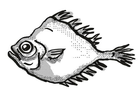 Retro cartoon style drawing of a smooth oreo or smooth dory, a native New Zealand marine life species viewed from side on isolated white background done in black and whiteの写真素材