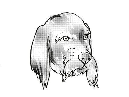 Retro cartoon style drawing of head of a Basset Fauve de Bretagne  , a domestic dog or canine breed...