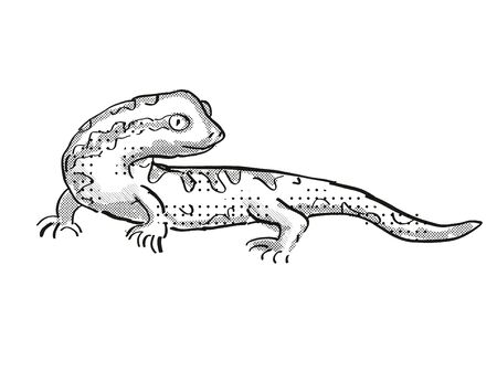 Retro cartoon style drawing of a Tautuku gecko , a native New Zealand wildlife on isolated white background done in black and whiteの写真素材