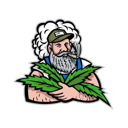 Mascot icon illustration of an American organic hemp farmer with beard smoking and holding cannabis leaves viewed from front on isolated background in retro style.のイラスト素材
