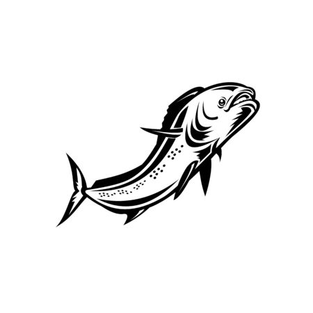 Retro style illustration of a mahi-mahi, dorado or common dolphinfish (Coryphaena hippurus), a surface-dwelling ray-finned fish, jumping up done in black and white on isolated background.のイラスト素材