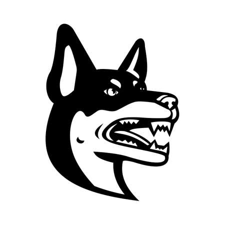 Mascot illustration of head of an Australian Kelpie, Kelpie, Barb or Farmer Dog, an an Australian sheep dog viewed from side on isolated background in retro black and white style.のイラスト素材