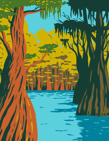WPA poster art of bald cypress growing in the swamp of Owl Creek in Apalachicola National Forest located in the Florida Panhandle in works project administration style or federal art project style.のイラスト素材
