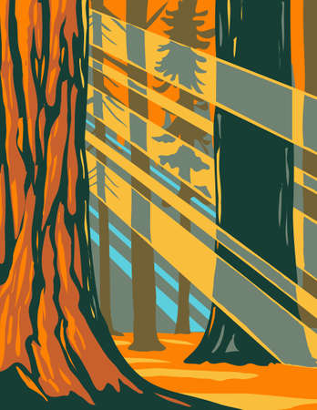 WPA poster art of sunlight through the giant sequoia trees of Sequoia national park located in Sierra Nevada, California done in works project administration style or federal art project style.のイラスト素材