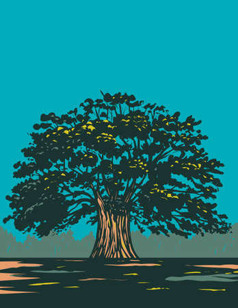 WPA poster art of a centuries old balete tree, balite or baliti from the genus Ficus in Canlaon City, Negros Oriental, Philippines done in works project administration style.のイラスト素材