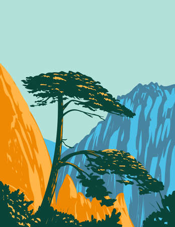 WPA poster art of a Pinus hwangshanensis or Huangshan pine on Huangshan Mountains in southern Anhui Province, Huangshan City, Eastern China done in works project administration style.のイラスト素材