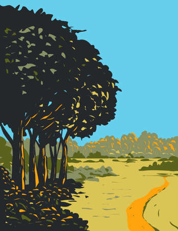 Art Deco or WPA poster of  heathland and forest trails in New Forest located within New Forest National Park in  Southern England, United Kingdom done in works project administration style.のイラスト素材