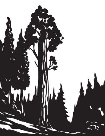 WPA poster monochrome art of General Grant Tree Trail in Kings Canyon National Park located in Sierra Nevada, California, USA done in works project administration black and white style.のイラスト素材