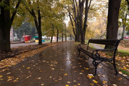 Autumn of heavy rain in the parkの写真素材