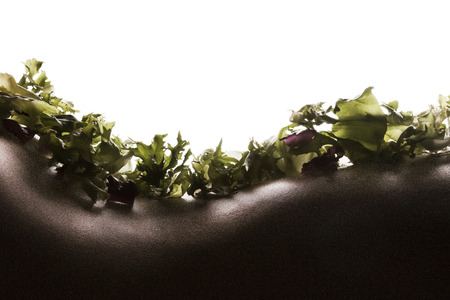 Bodyscape with salad on woman backの写真素材