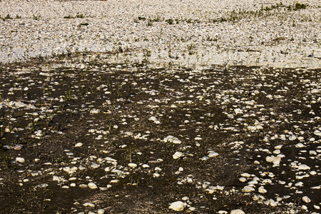 Texture of stonesの写真素材