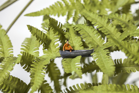 Tiny toy man sitting in a boat on a tree