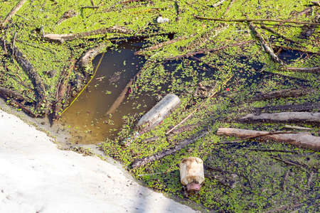 Floating old garbage in water, plastic bottles