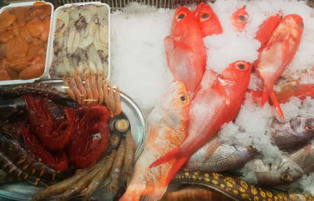 Fresh seafood and fish in iceの写真素材