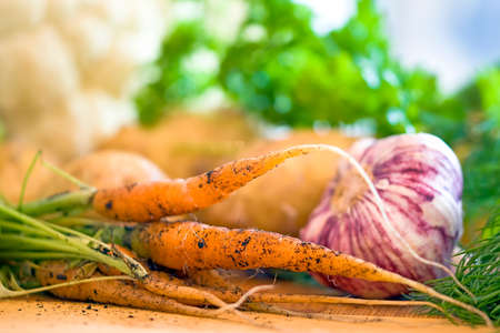 Young carrots and organic vegetables from your own garden