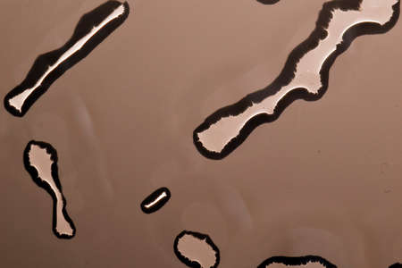 Water drops that look like organisms under a microscope