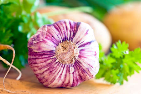 Young carrots and organic vegetables from your own gardenの写真素材