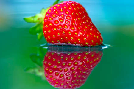 A fresh strawberry dipped in crystal clear spring waterの写真素材