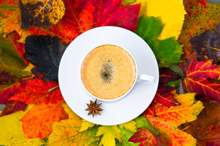 cup of coffee and autumn leaves