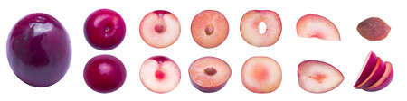 A fresh plum on a panoramic white background. Plum pieces, plum slices, quarters and pits