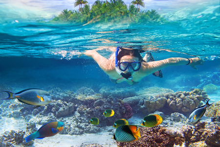 Young women at snorkeling in the tropical waterの写真素材