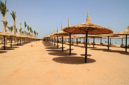 Beach parasols in Egyptの写真素材