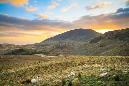 Sunset in Killarney mountainsの写真素材