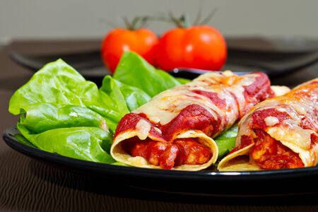 Mexican style enchiladas dishの写真素材