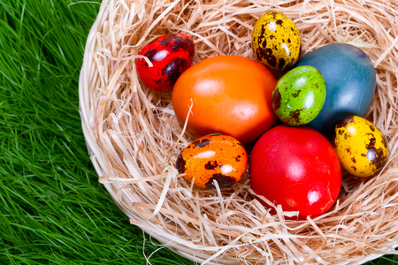 Colourful painted easter eggs in nest over the grassの写真素材
