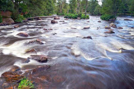 Beautiful creek with cascades in southern Swedenの写真素材