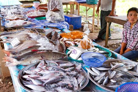 Woman selling fish on the local market in Khao Lak, Thailandの写真素材