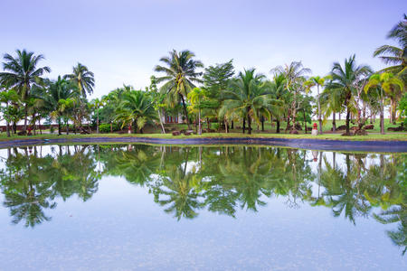 Tropical jungle of Koh Kho Khao reflected in the pond, Thailandの写真素材